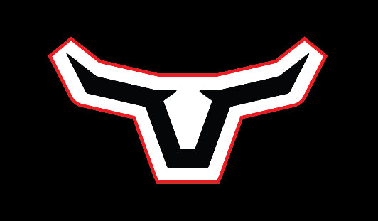 Longhorn Chassis Flag